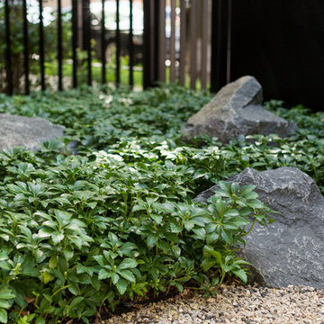 Groundwork Design - Bucktown