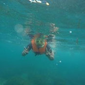 Keith Pasicolan's photo