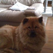 Amy Wu's photo