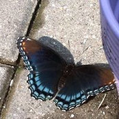 Jennifer Assetto's photo