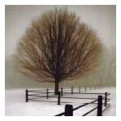 Sonja Jordan's photo