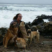 Photo de Stacy Roach