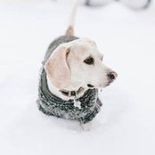 Megan Thiele-Lorenz's photo