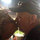 tami_holmes