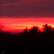 Foto von Rhonda Leeds