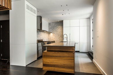 Design ideas for a modern kitchen in Montreal.