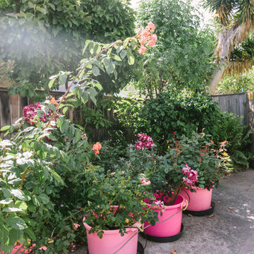 Urban Homesteading Oakland 1