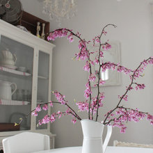 Randomness From My Houzz