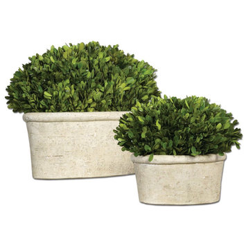 Uttermost Oval Domes Preserved Boxwood Set of 2