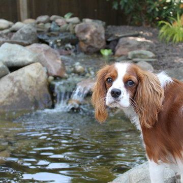 Chelsea, Mi Pond and Landscape Project