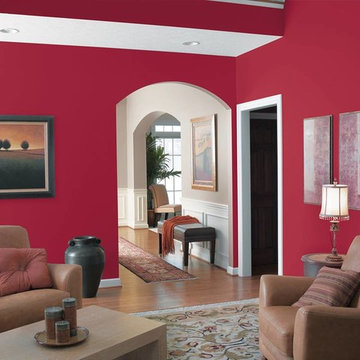 Sherwin-Williams Paint Products & Projects