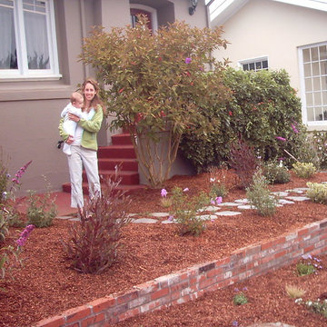 New Drip System, Planting and Mulch in San Francisco