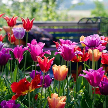 Spring Combination Ideas