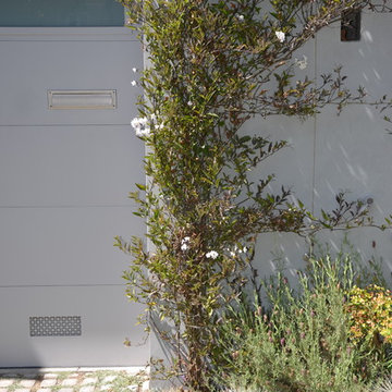 Lake Street House Green Wall