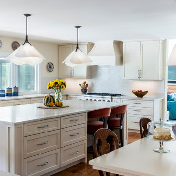 NAMELESS ROAD- TRADITIONAL FULL SCALE REMODEL NEW CONSTRUCTION AUSTIN TEXAS
