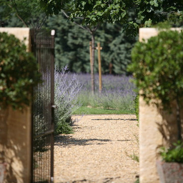 Provencal garden with contemporary lines