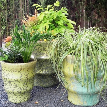 Container Gardens