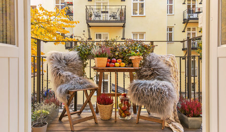 Frischluft gefällig? So nutzen Sie Ihren Balkon bei kaltem Wetter