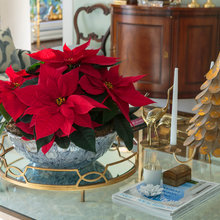 Christmas Decorating