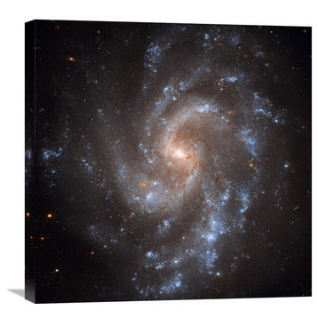 "NGC 5584" Artwork, 24"x24"
