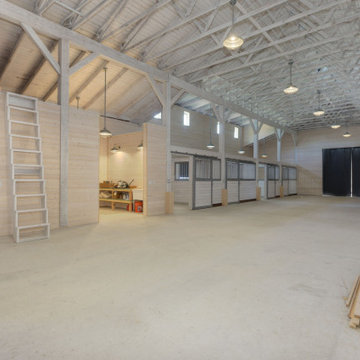 Contemporary Rescue Barn