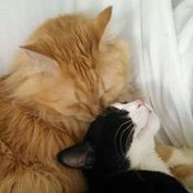 Gigi Bartosik's photo