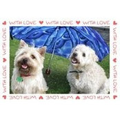 Tiffani Field's photo