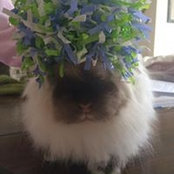 Carrie Miller's photo