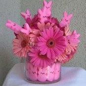 Sue Doerr's photo