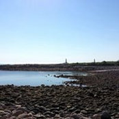 Suzanne Diesem's photo