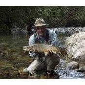 Tom Long's photo