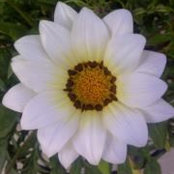 Amanda Arsenault's photo
