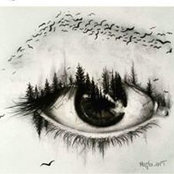 Diane Saubert's photo