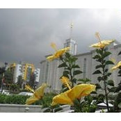 Diana Lux's photo