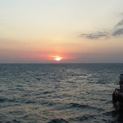 jump_foxs foto