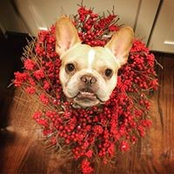 Kevin Longs foto