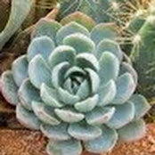 Cassidy Tuttle's photo