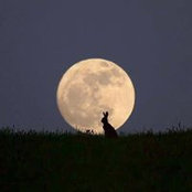 Laura Reina's photo
