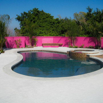 Contemporary Landscaping | Freeform Pool