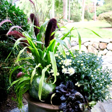 2017 autumn containers