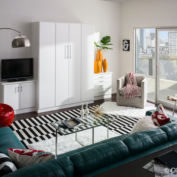 Murphy Bed Storage