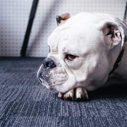 Office Carpet Tiles Installation Services - Home Office Accessories