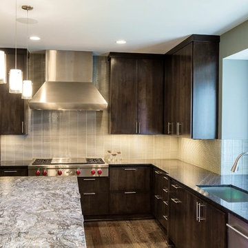Edina Contemporary Remodel