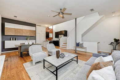 Living room - contemporary living room idea in Houston