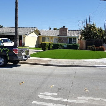 Artificial Grass Installations with Purchase Green