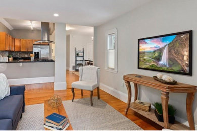 Living room - living room idea in Boston