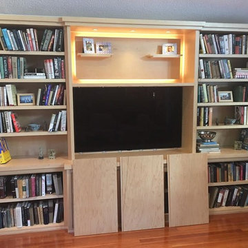 Custom Entertainment Unit