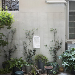 Inspiration for a small country courtyard garden in Milan with with privacy feature and concrete pavers.