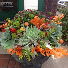 Fall Decorating