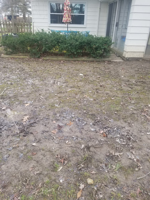 backyard flooding/landscaping issue